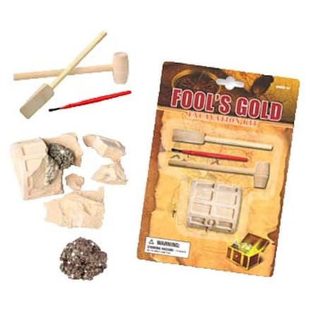 TEDCO TOYS Tedco Toys 90004 Fools Gold Dig Excavation Kit 90004